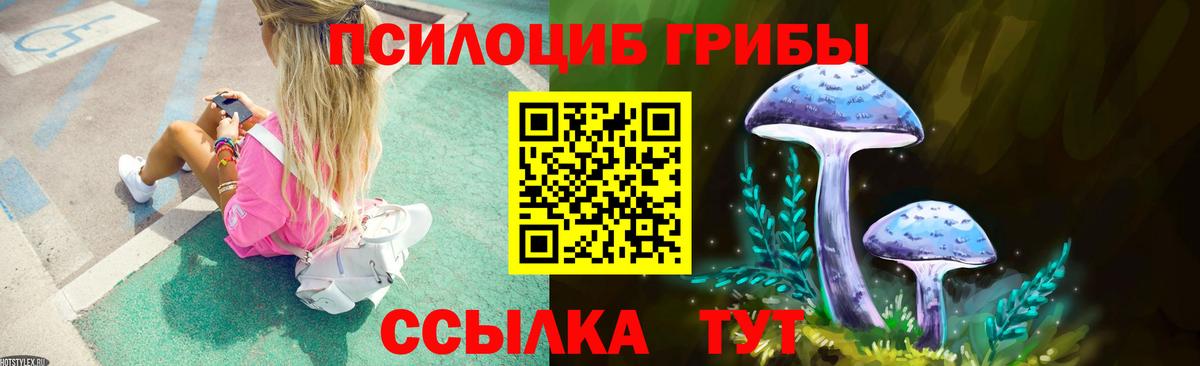 Псилоцибиновые грибы Psilocybine cubensis  как найти закладки  Артём  Вход с VPN 